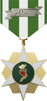 Vietnam Campaign Medal Decal