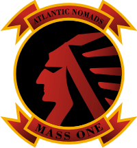 MASS-1 Marine Air Support Squadron 1 Decal