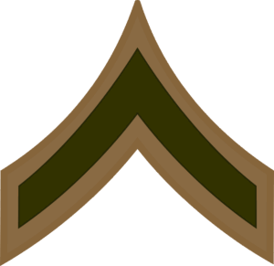 E-2 PFC Private First Class (Khaki) Decal