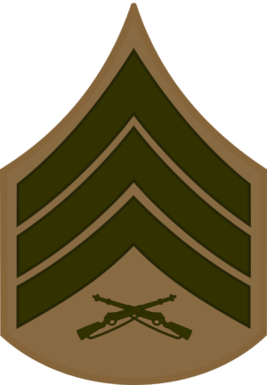 E-5 SGT Sergeant (Khaki) Decal