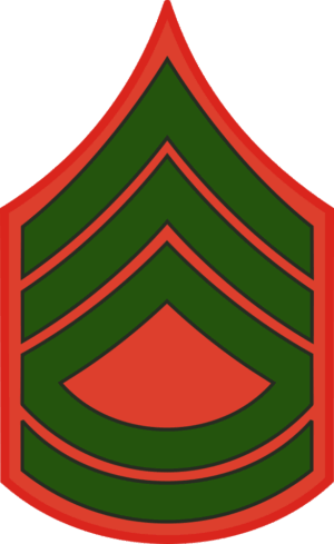 E-7 SMaj 1Sgt MSgt  Pre-1959 (Green) Decal