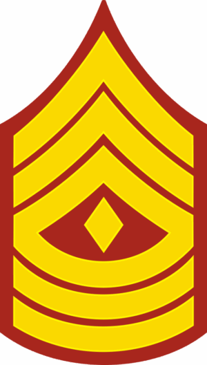 E-8 1SGT First Sergeant (Gold) Decal