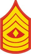 E-8 1SGT First Sergeant (Gold) Decal