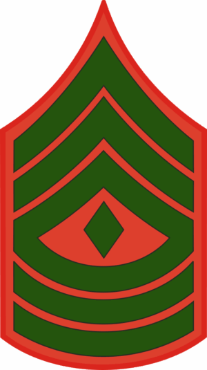 E-8 1SGT First Sergeant (Green) Decal