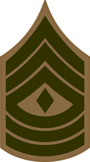 E-8 1SGT First Sergeant (Khaki) Decal