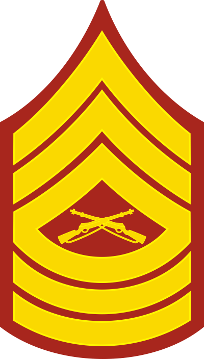 E-8 MSGT Master Sergeant (Gold) Decal