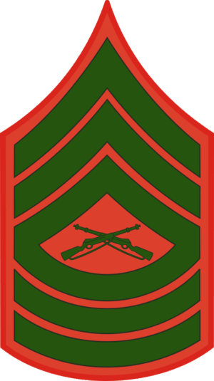 E-8 MSGT Master Sergeant (Green) Decal