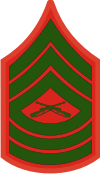 E-8 MSGT Master Sergeant (Green) Decal
