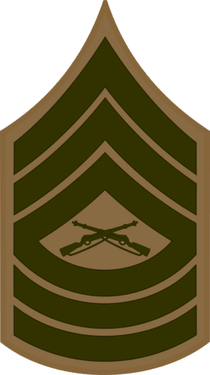 E-8 MSGT Master Sergeant (Khaki) Decal