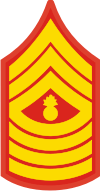 E-9 MGYSGT Master Gunnery Sergeant (Gold) Decal