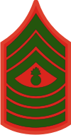 E-9 MGYSGT Master Gunnery Sergeant (Green) Decal