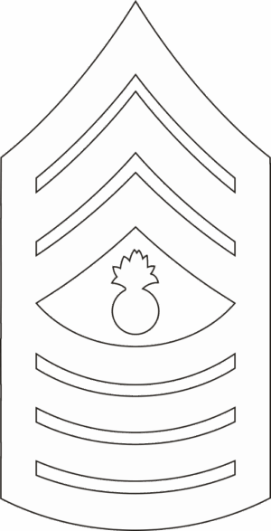 E-9 MGYSGT Master Gunnery Sergeant (White) Decal