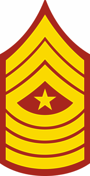 E-9 SGTMAJ Sergeant Major (Gold) Decal