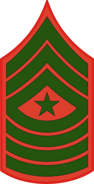 E-9 SGTMAJ Sergeant Major (Green) Decal