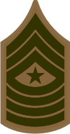 E-9 SGTMAJ Sergeant Major (Khaki) Decal