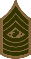 E-9 SGTMAJMC Sergeant Major Marine Corps (Khaki) Decal