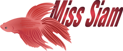 Miss Siam Decal