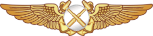 Naval Aviation Observer (Tactical) Badge Decal