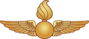 Navy Aviation Ordnance Wings (1) Decal
