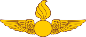 Navy Aviation Ordnance Wings (v2) Decal