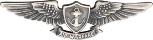 Navy Enlisted Aviation Warfare Decal