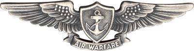 Navy Enlisted Aviation Warfare Decal