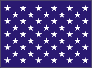 Navy Jack (Current) Decal