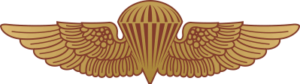 Navy/Marine Jump Wings (Red/Gold) Decal