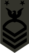 Navy E-9 Master Chief Petty Officer (Subdued) Decal