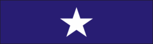 Texas Lone Star Medal of Valor Ribbon Decal