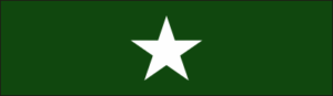 Texas Adjutant General's Individual Award Ribbon Decal
