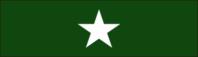 Texas Adjutant General’s Individual Award Ribbon Decal