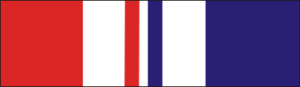 Texas Combat Service Ribbon Decal