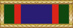 Texas Meritorious Unit Award Ribbon Decal