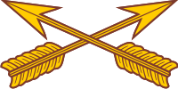 Special Forces Insignia Decal