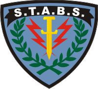 Strike Assault Boat Squadron (STABS) Decal