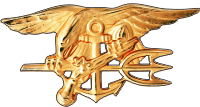 Special Warfare Badge (Gold) Decal