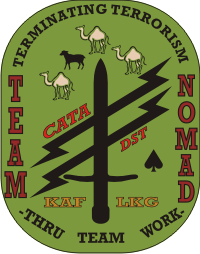 Team Nomad Decal