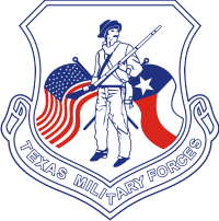 Texas Military Forces Decal