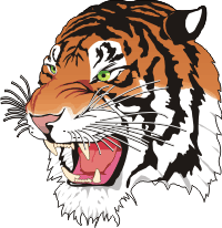 Tiger Left Decal