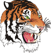 Tiger Right Decal