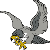 Air Force Eagle (Left) Decal