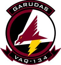 VAQ-134 Electronic Attack Squadron 134 (v3) Decal