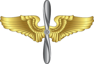 Army Wings and Prop - 3 Decal