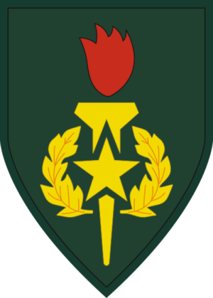 U.S. Army Sergeants Major Academy Decal