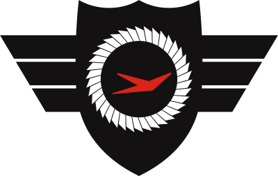 7407th Support Squadron Decal