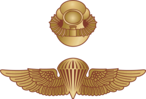 USMC Recon Combo Jump Wings/Combat Diver Decal