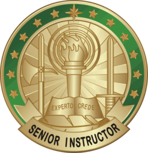 Senior Army Instructor Badge (SAIB) Decal
