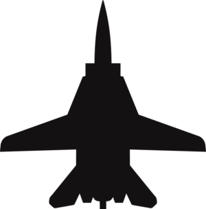 Grumman F-14 Tomcat Silhouette (Black) Decal