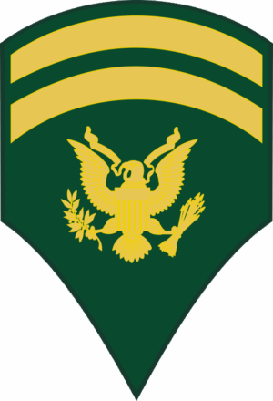 Army E-6 SPC6 Specialist Decal